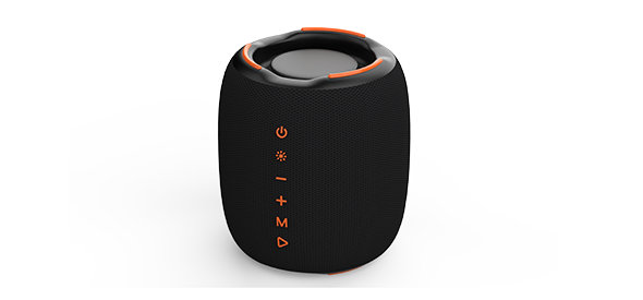 C80 Portable Speaker