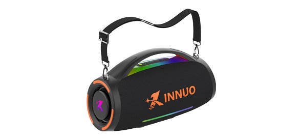 C73 Party Speaker